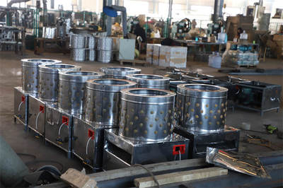 魯寧機(jī)械詳情進(jìn)入(圖)-家禽打毛機(jī)怎么使用-家禽打毛機(jī)